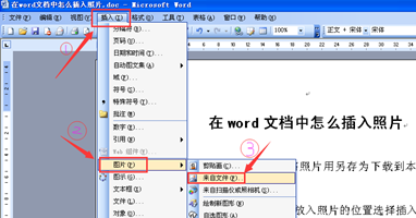 在word文档中怎样插入照片