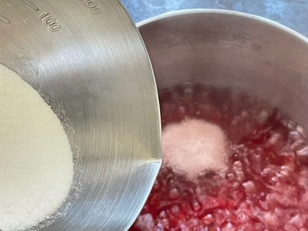 蔓越莓冻撞椰奶