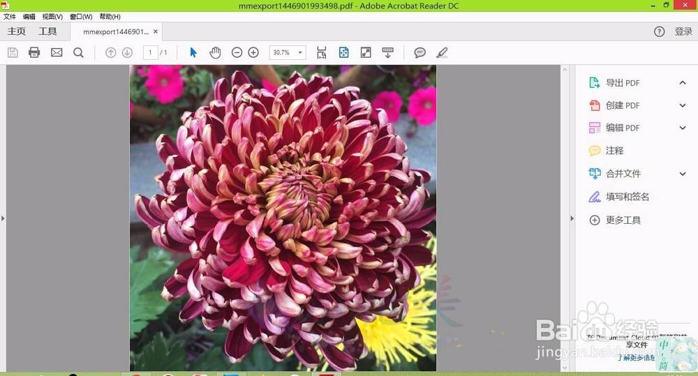 怎么把照片转换成pdf格式？