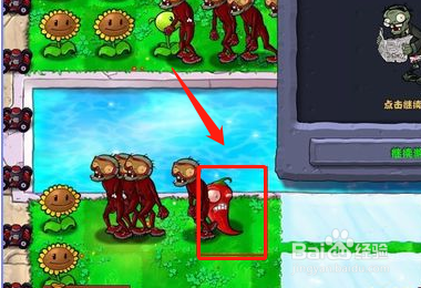 植物大战僵尸全面冻结怎么玩