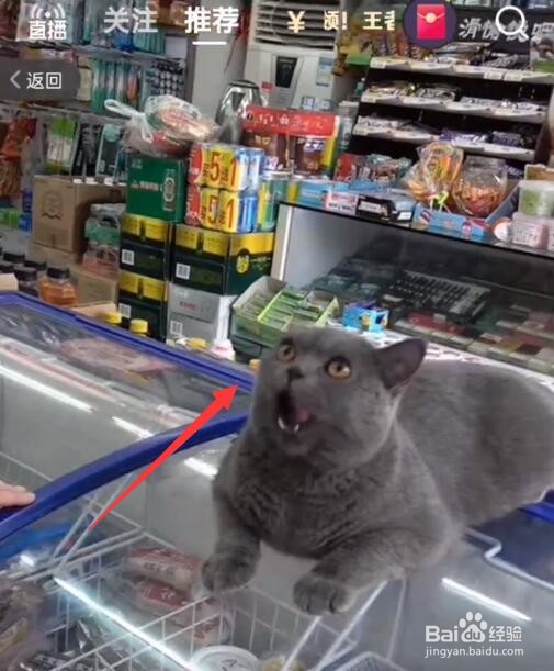 2021qq绿钻兑换码领取