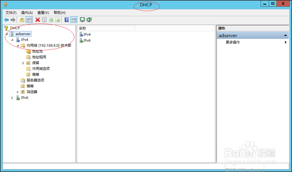 Windows服务器如何禁用DHCP IPv4作用域名称保护