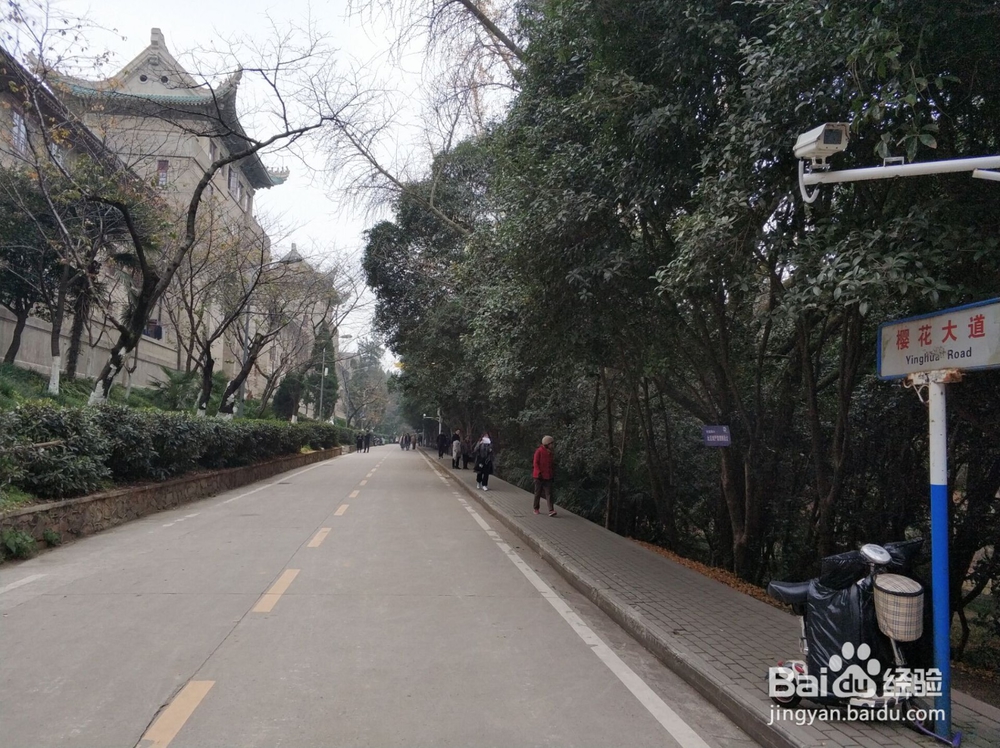 武汉旅游之著名的武汉大学