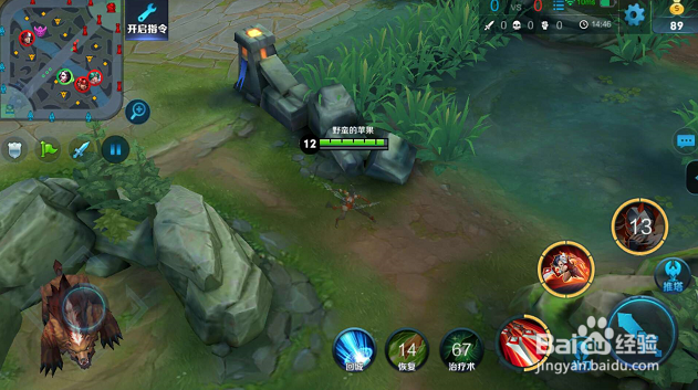 王者荣耀玩家经验