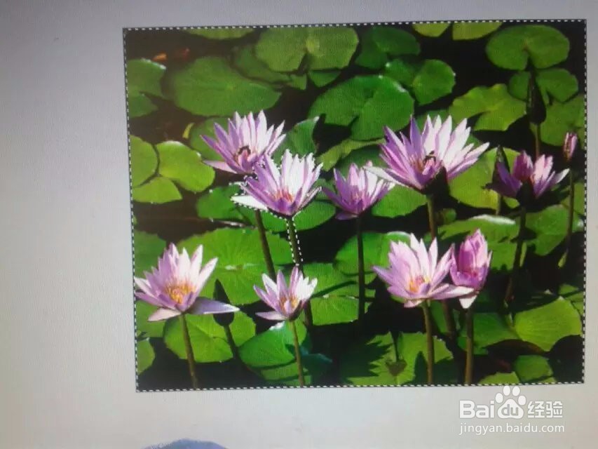 怎样在ps中用钢笔抠图