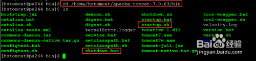linux怎么启动tomcat