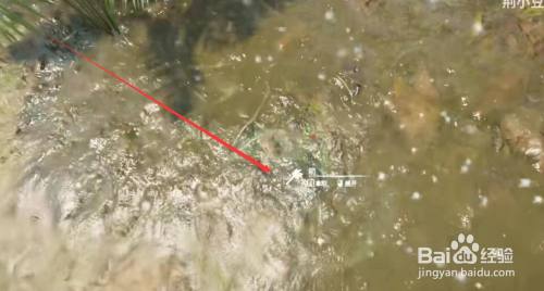 绿色地狱怎么给弓箭上毒 百度经验