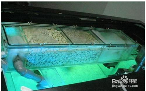 水族箱过滤系统的种类