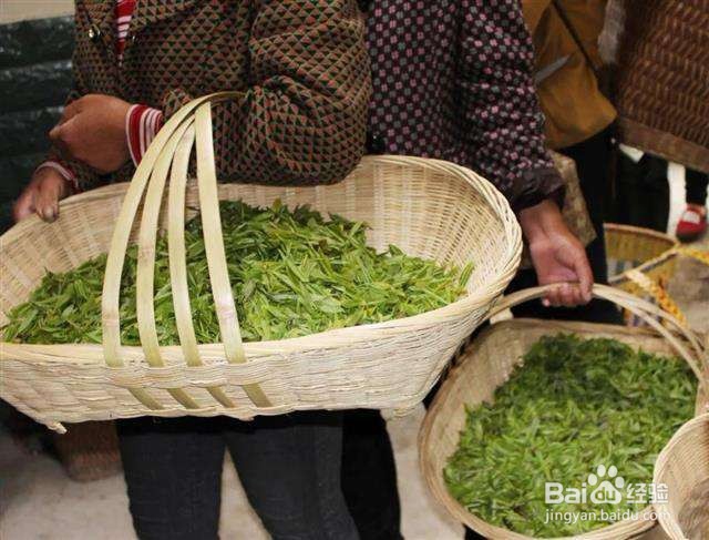 不懂茶叶应该怎么进货