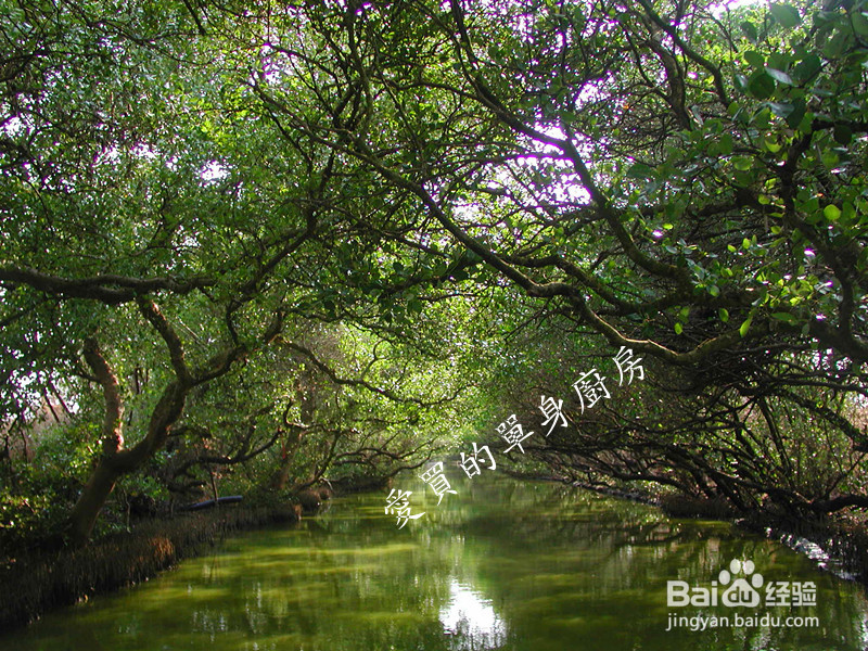 台灣~台南小旅行(上)