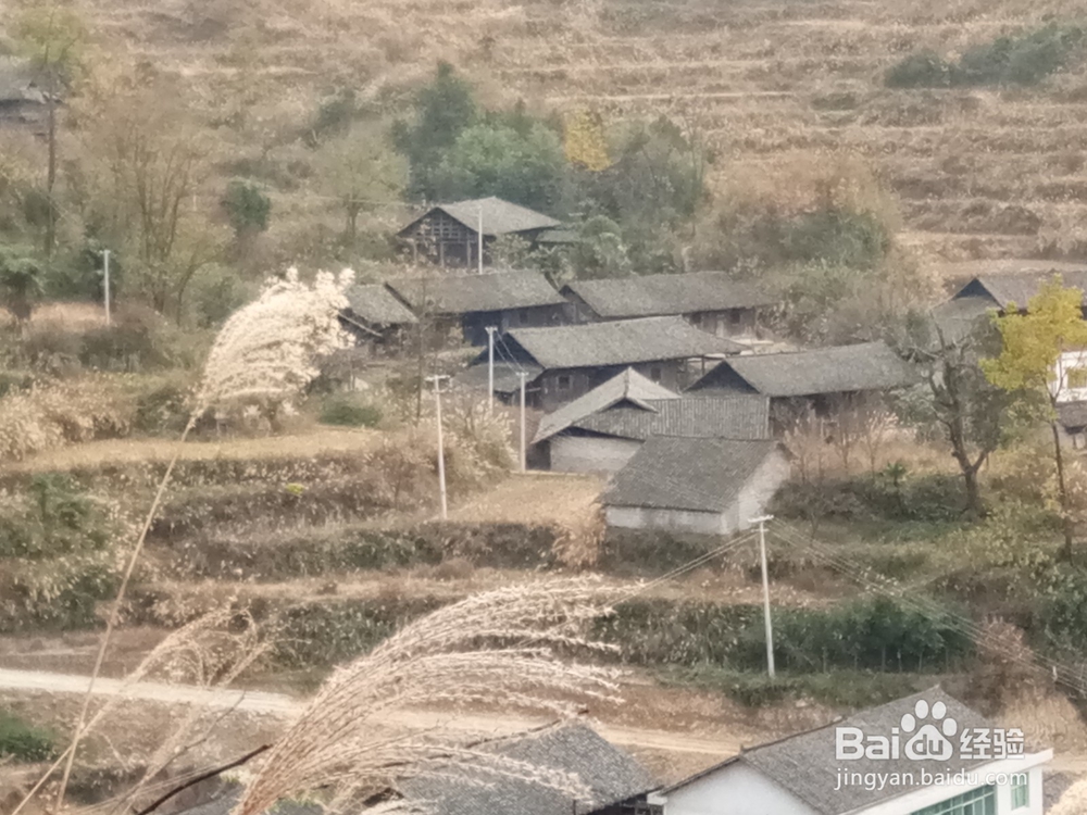 田云青老师旅游景观册编辑方法