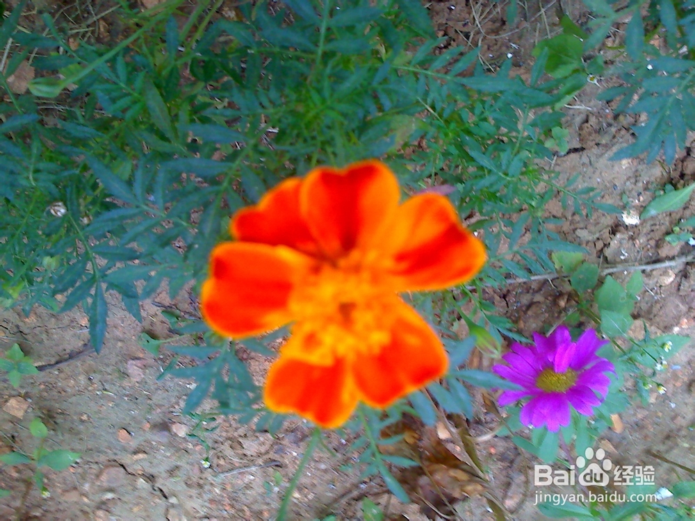 孩子性格内向初中毕业是学专业还是继续读书？