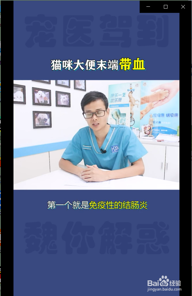 猫咪大便末端带血是什么情况