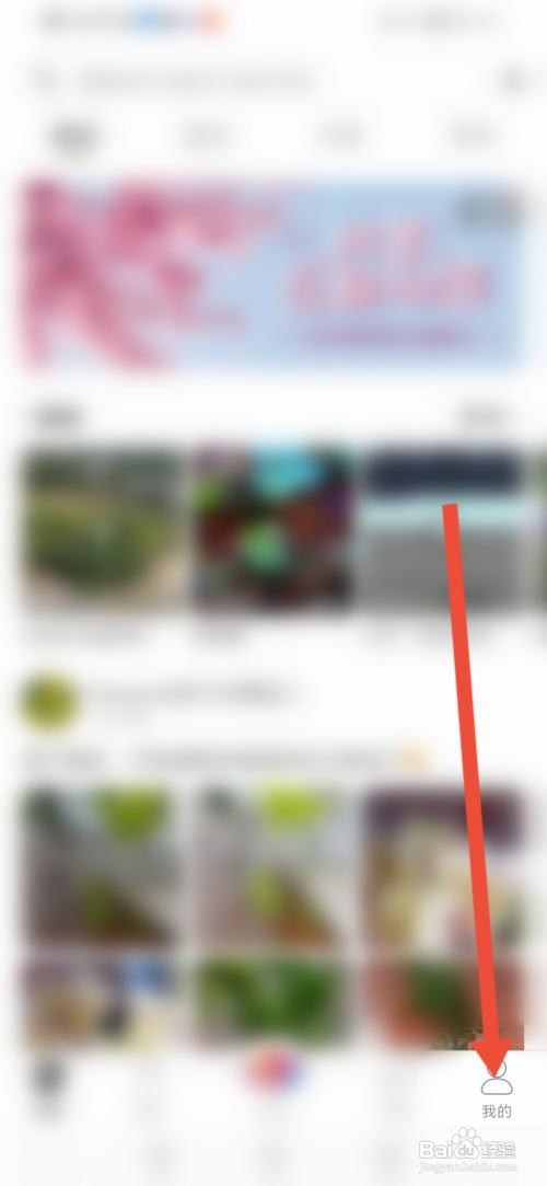 如何使用花伴侣APP设置所拍照片保存到相册？