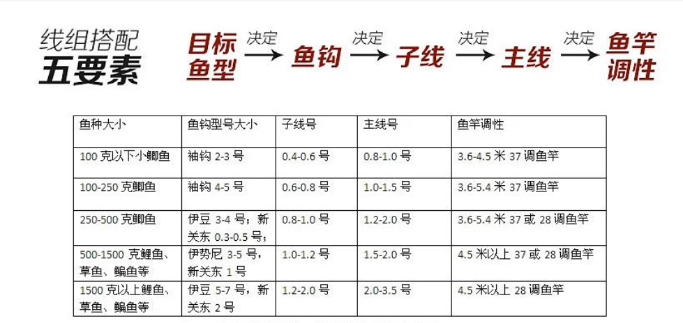 鱼钩和子线搭配一览表