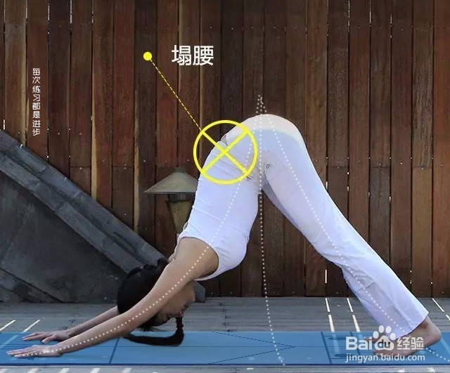 瑜伽体式下犬式的动作讲解
