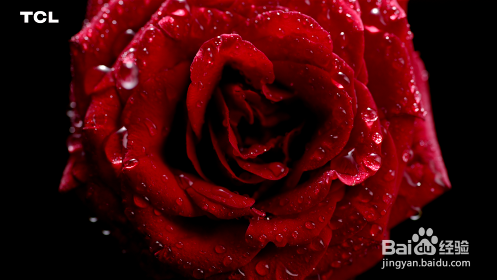 芒果月光宝盒开博尔H19 本地效果好不好？