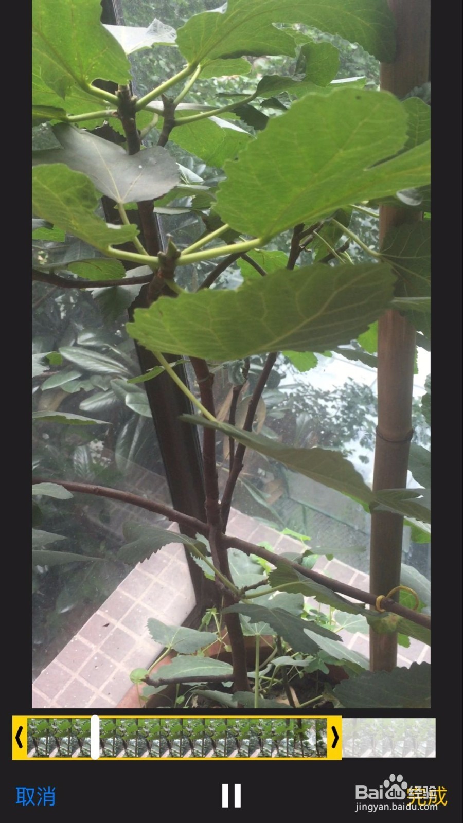 苹果手机如何用自带的相机录制和编辑视频