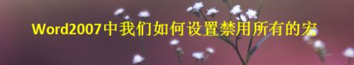 在Word2007中我们如何禁用所有的宏