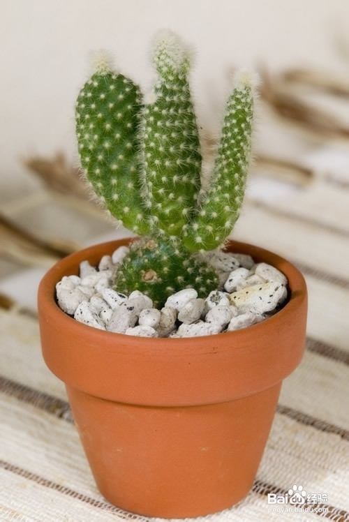 如何有效防止电脑辐射