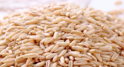 燕麦米有什么功效