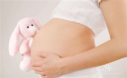 加拿大温哥华生子费用大致有几个板块?