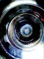 生活中应该知道哪些小常识?