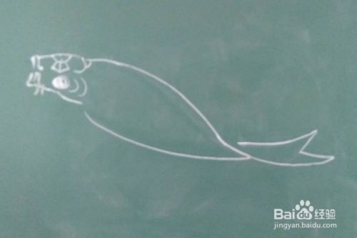 鱼的画法教程。怎么画鱼，如何画鱼？儿童简笔画