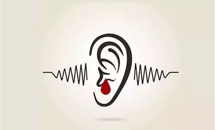 声音的强弱和声音的高低的区别