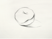 素描静物的画法一