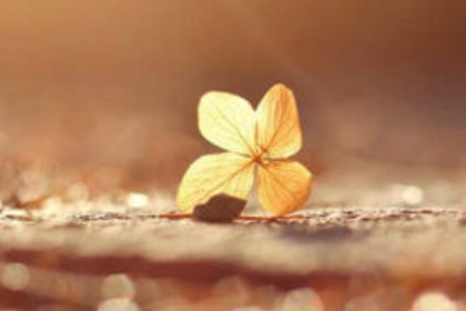 关于背叛的句子说说心情