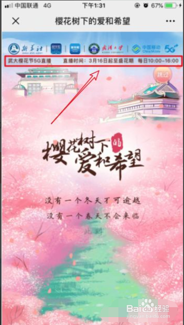 武大云赏樱怎么看