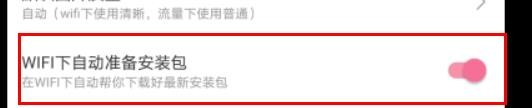 哔哩哔哩如何开启WIFI自动准备安装包