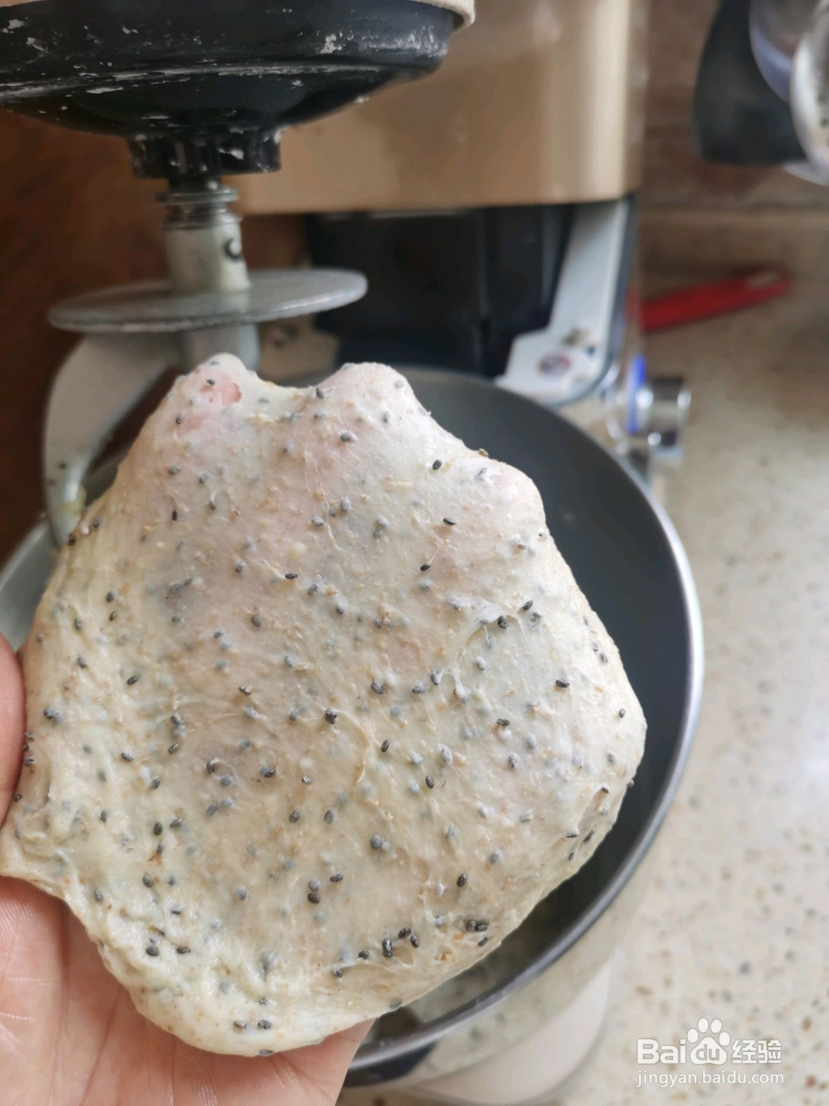 全麦奇亚籽吐司的做法