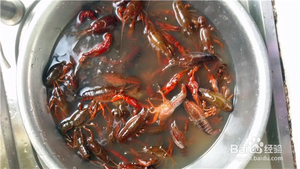蒜蓉小龙虾怎么做好吃？