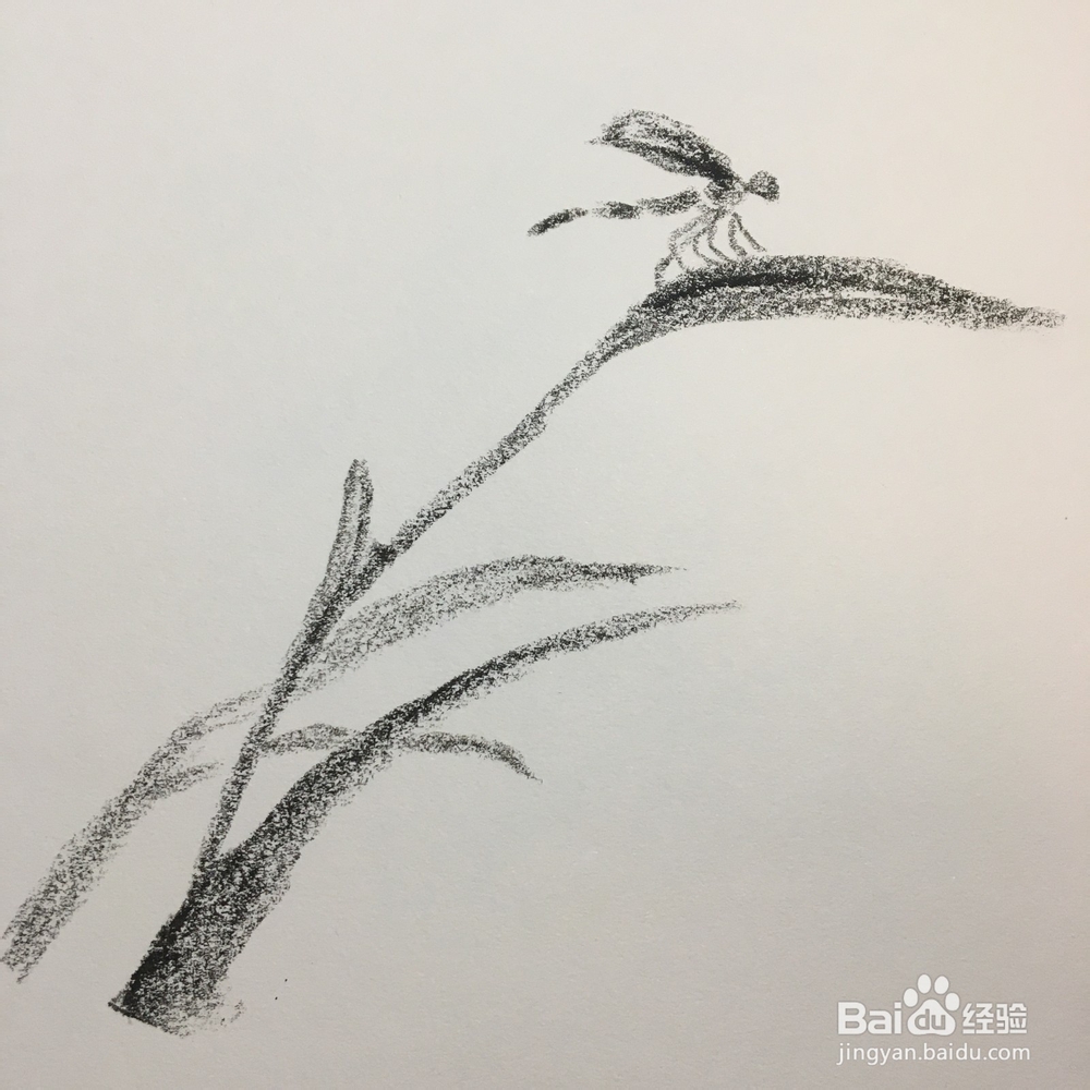 儿童油棒画：枝头上的蜓蜻