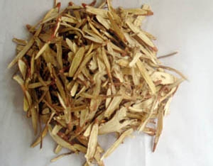 中医两种药方可以有效治疗口臭