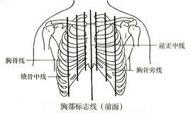 锁骨中点怎么定
