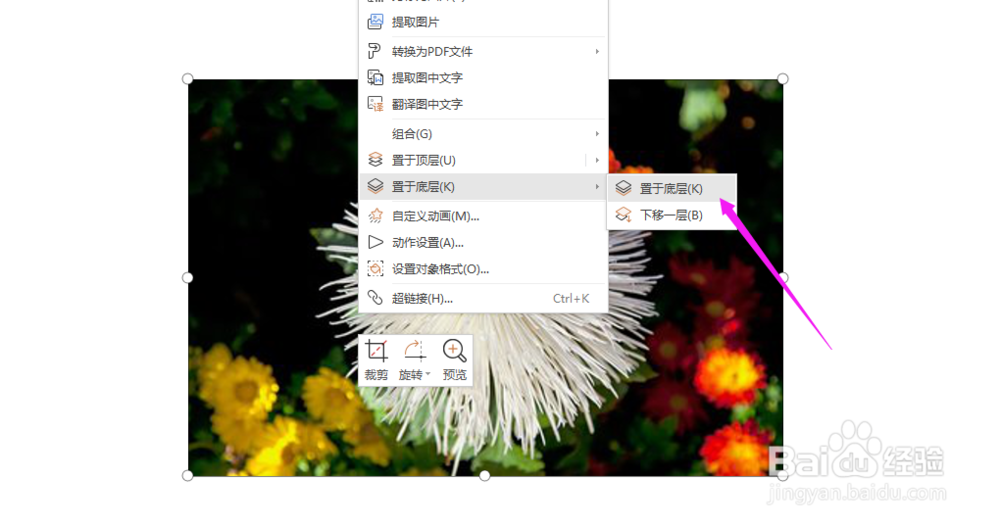 WPS2019中PPT文字如何加上背景图片