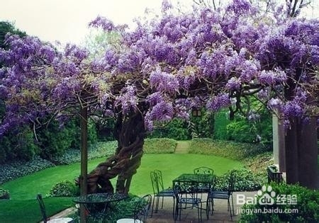 婚检能检查出慢性前列腺吗?