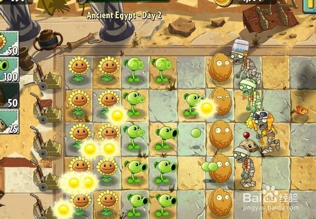 植物大战僵尸2：[3]新增多人模式介绍