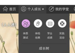 综合素质评价怎么上报