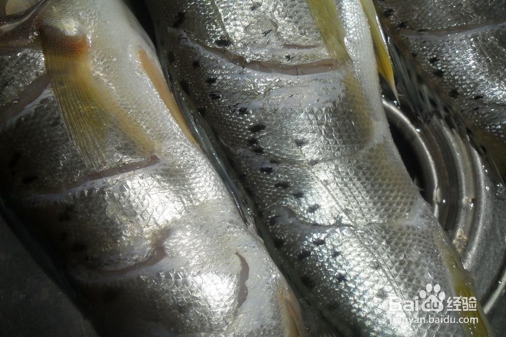 怎么做葱油鲈鱼