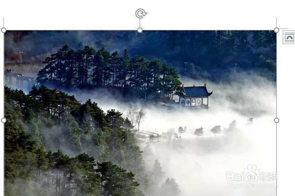 word2016如何制作明星卡贴——赵雅芝（二十）