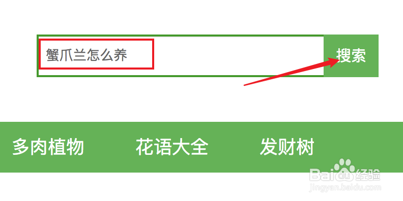 蟹爪兰怎么养