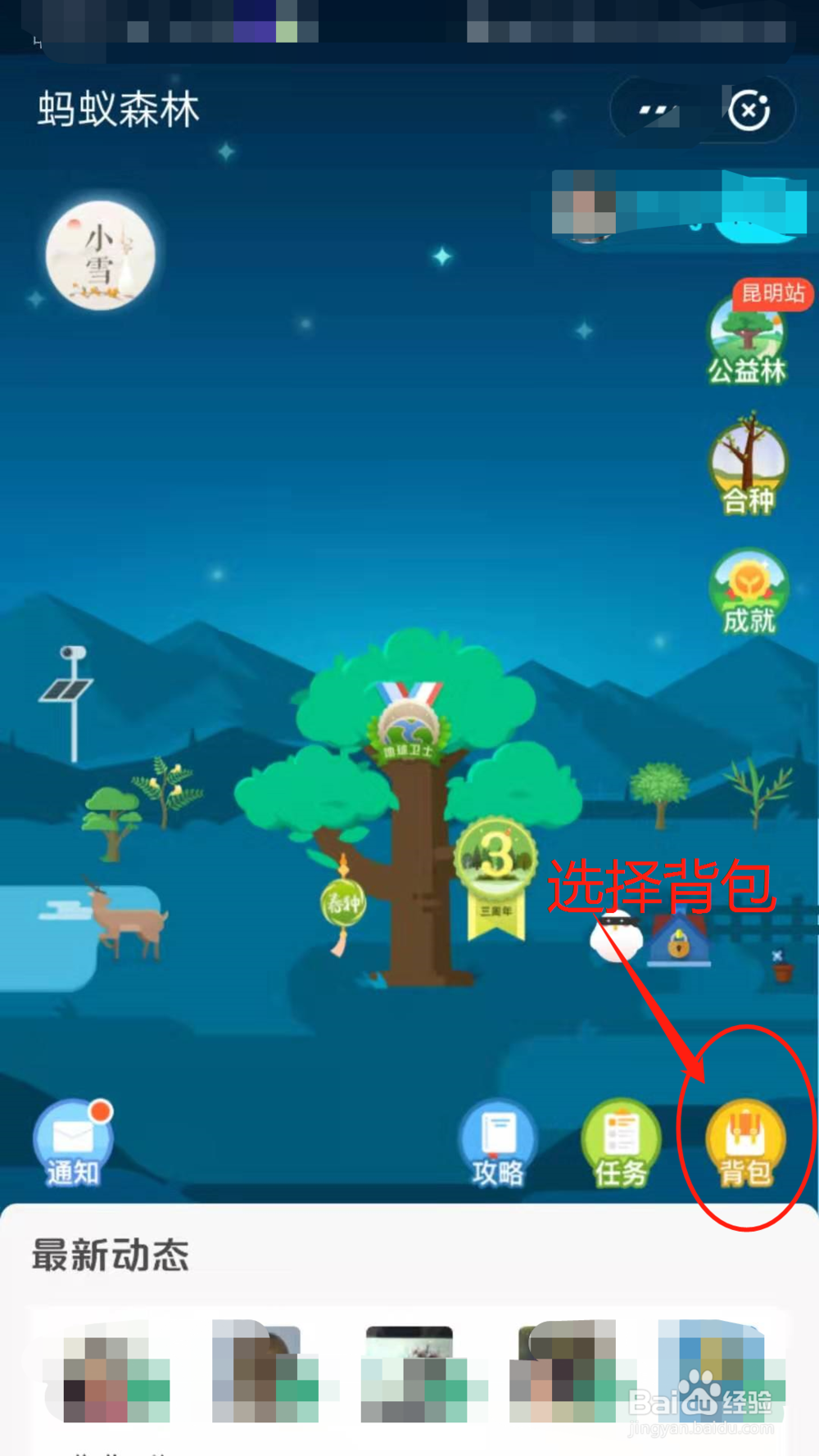 怎么给蚂蚁森林树上挂装扮？