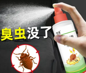 吸血臭虫怎么有效灭杀