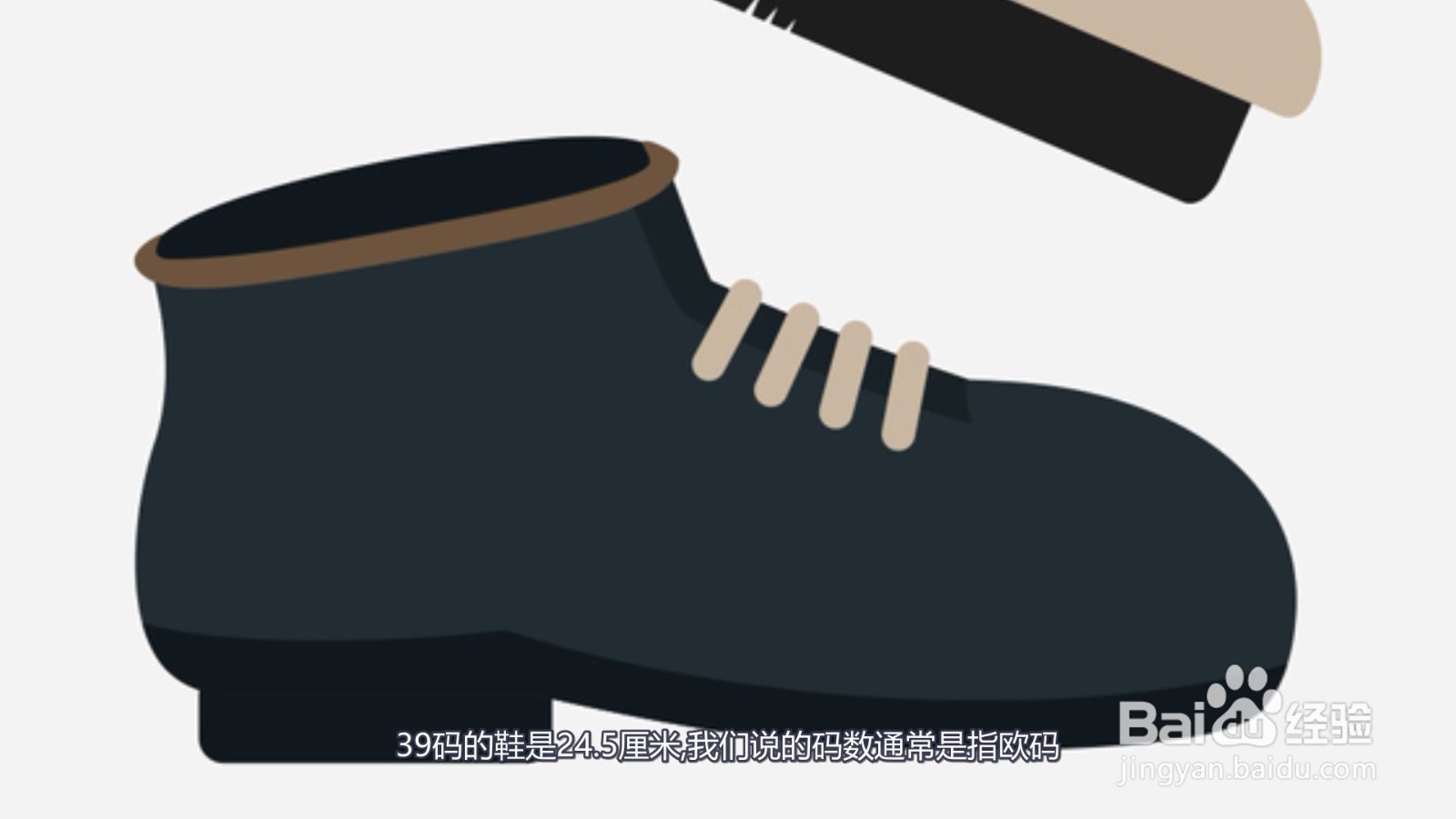 39码的鞋是多少厘米