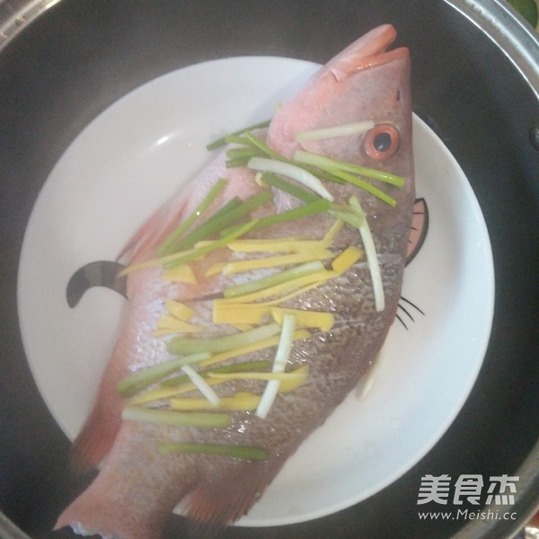 清蒸红友鱼的做法