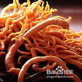 如何妥善保存新鲜虫草